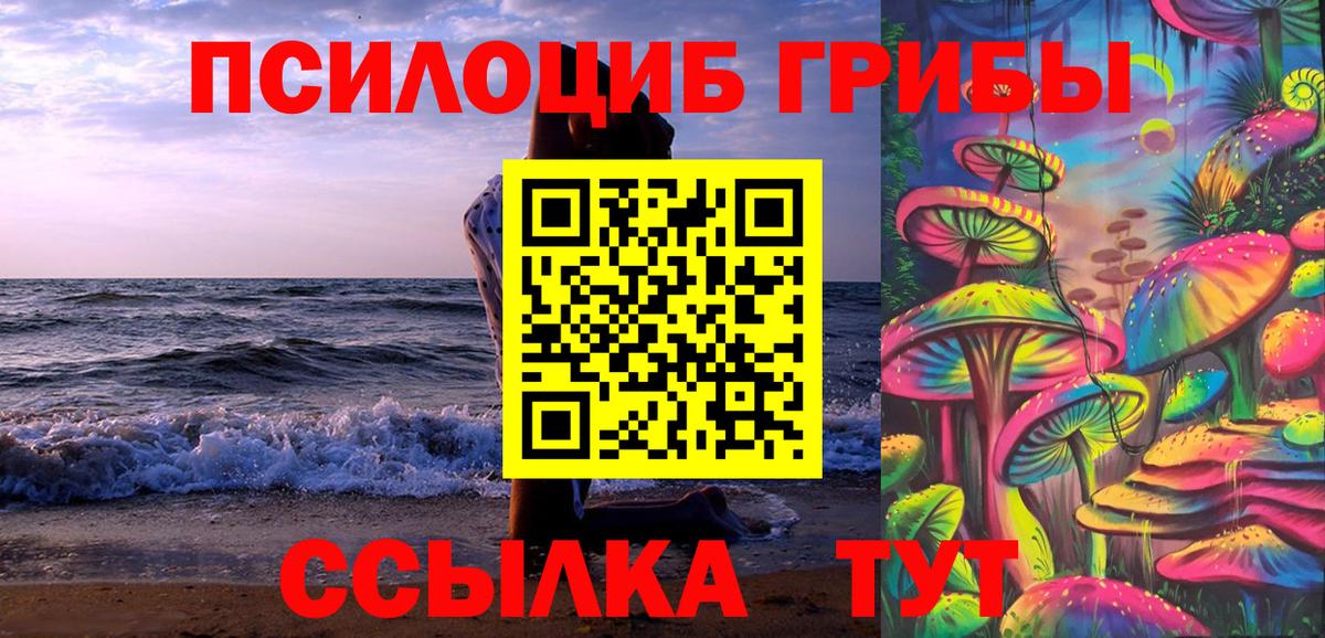 Галлюциногенные грибы Psilocybine cubensis Амурск