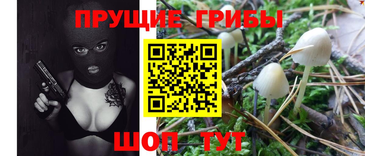Галлюциногенные грибы прущие грибы  Вход с VPN  Амурск 